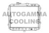 AUTOGAMMA 100563 Radiator, engine cooling